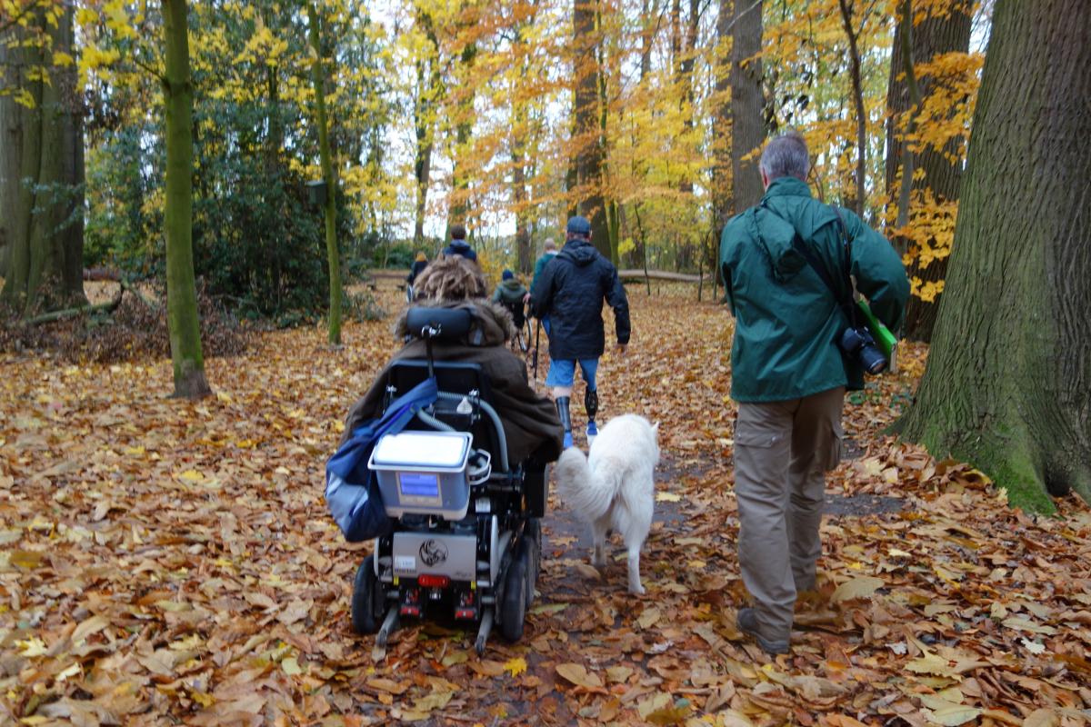 Mensen en een persoon in een rolstoel aan het wandelen in het bos